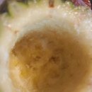 천호역 곱창 맛집 불향기에서 막창 삼겹살 불라면 샤베트 먹은 후기