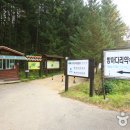 방아다리 이미지