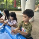 7월3주 - 📍 신기한 물놀이 실험! [표면장력] 이미지