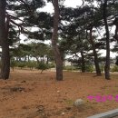 동해송정동철기시대유적 이미지