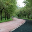 백설공주공원 이미지