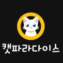 캣파라다이스 이미지