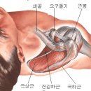 하근 Daum카페