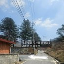 무릉도원면-43 네이버블로그