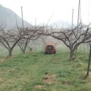 조양농원 이미지