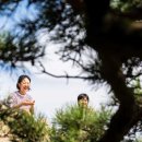 너른바위 이미지