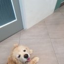 온누리 종합동물병원 이미지