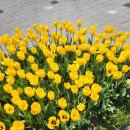 <전시> 예술아카데미 발표전 | 2026 구로문화재단 구로 문화예술 아카데미 <나만의 뮤지컬,그리고 그 역사>