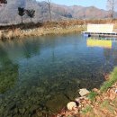 솔치송어파티 이미지