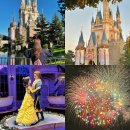 주식회사 울타리가도와줄개 | 도쿄 디즈니랜드 디즈니씨 차이, DPA 현장구매방법 놀이기구 불꽃놀이 후기