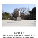큰별샘 최태성 양양컬쳐클럽 후기