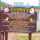 황우목장 이미지