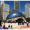 도심의 쉼터 이미지