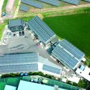 삼호태양광발전소 이미지