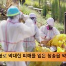 청송군, 산불 피해지역 주택 철거 및 폐기물 처리 본격 착수 이미지