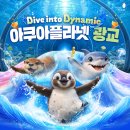 광교 갤러리아 아쿠아플라넷 내돈내산 후기(실내 이색데이트 추천)