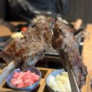 인생맥주 - 대덕구 중리로 47 | 첨단 맛집 양육점 내 인생 맛집 양갈비 스프카레 산토리생맥주 후기