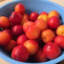 은실농장 이미지