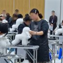 2026 청주 KKF 위그미용 콘테스트 후기