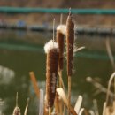 태산 낚시터