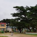 흥해서부초등학교 이미지