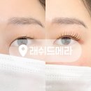 포인트 | 광진구 군자 속눈썹 펌포인트연장 후기 네일드빈치/래쉬드메라