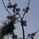 오륙도중학교 이미지