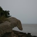 성산  매부리 이미지