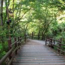 연인의길(조형물10 이미지