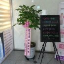 한나코스메틱 이미지