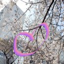 로얄안경 이미지