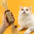 고양이 쇼핑하우