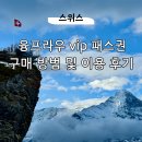 우신총판 | 스위스 인터라켄 동역 융프라우vip패스권 구매방법 날짜지정 가볼만한 곳