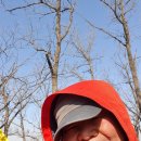 덕솔이네 이미지