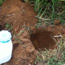 덕장농장 이미지