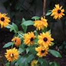 생각스케치 이미지