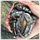 완도참전복집 이미지