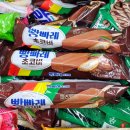 빵빠레 | 롯데웰푸드 아이스크림 빵빠레 초코바 후기 - 소프트콘이 아닌 바 형태의 초코맛 빵빠레