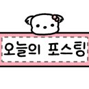 아요하우스 이미지