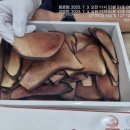 경희보성한의원 이미지