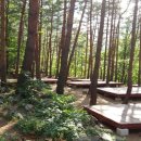 동해시-12 이미지