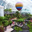 강서로 56길 이미지