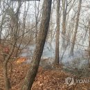 청명인력 이미지