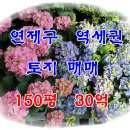 연제구-150 이미지