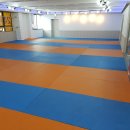 청춘유도관 이미지