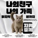 타임투반려동물 장례식장 이미지