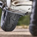 스콜피온 이미지