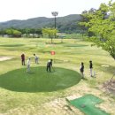 파크골프장 이미지