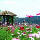 꽃밭교회 이미지