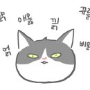 후추네일